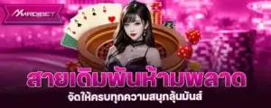 สายเดิมพันห้ามพลาด จัดให้ครบทุกความสนุกลุ้นมันส์ mardibet